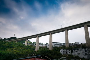 新建福厦高铁最新消息/新建福厦铁路中标单位
